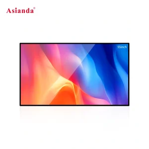 Evolve Outdoor TV 55"